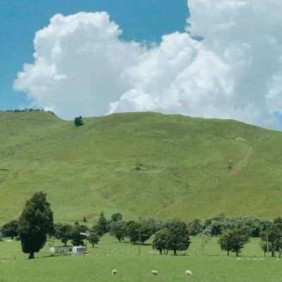 2023澳门管家婆资料正版大全