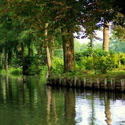 爱体育APP手机app下载截图