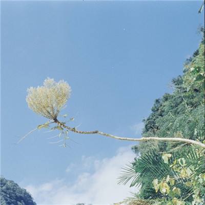 云开·体育官方网站