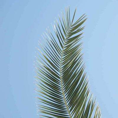 新世纪棋牌下载手机版