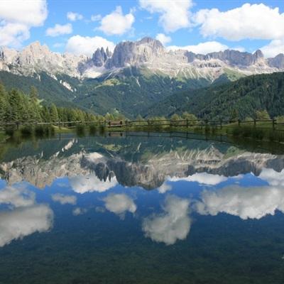 乐鱼app官方下载入口