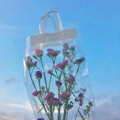 皇冠app下载官方版