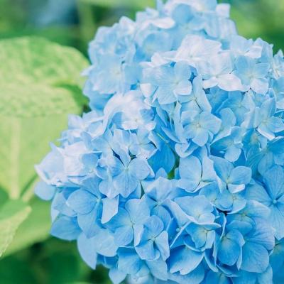 棋牌娱乐www官方网址入口