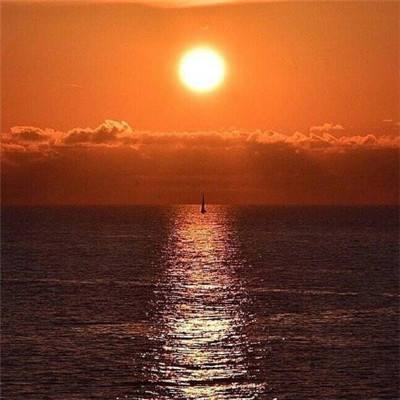 NG体育下载手机版