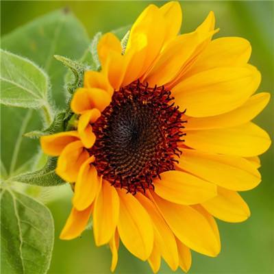 开全站登录app截图