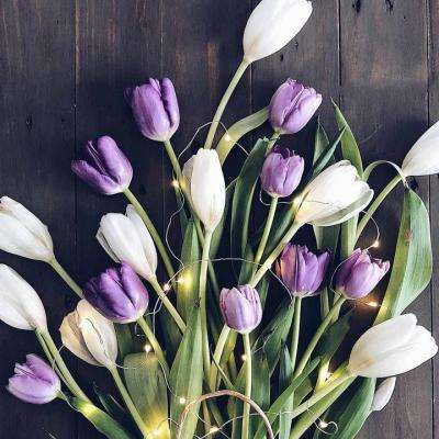 im电竞官方官网手机app下载